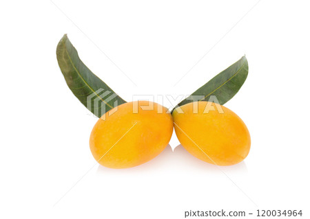 Marian plum Thai fruit isolated on white background. Mayongchid. Maprang. Marian Plum. Plum Mango 120034964