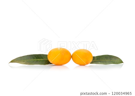 Marian plum Thai fruit isolated on white background. Mayongchid. Maprang. Marian Plum. Plum Mango Marian plum Thai fruit isolated on white background. Mayongchid. Maprang. Marian Plum. Plum Mango 120034965