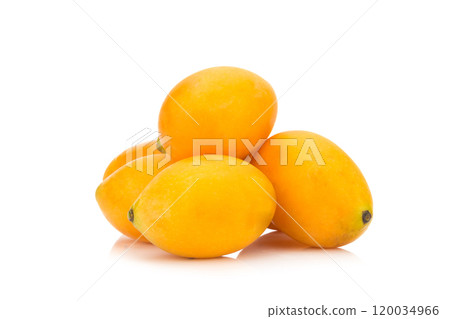 Marian plum Thai fruit isolated on white background. Mayongchid. Maprang. Marian Plum. Plum Mango 120034966