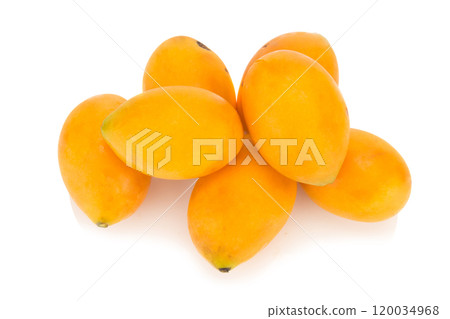 Marian plum Thai fruit isolated on white background. Mayongchid. Maprang. Marian Plum. Plum Mango 120034968