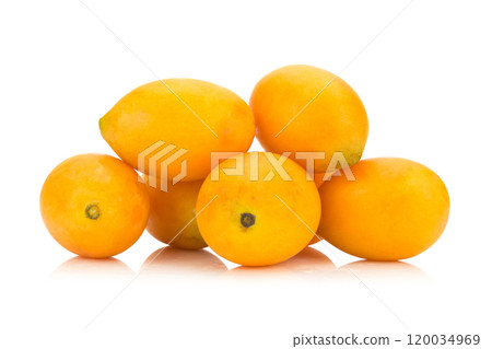 Marian plum Thai fruit isolated on white background. Mayongchid. Maprang. Marian Plum. Plum Mango 120034969