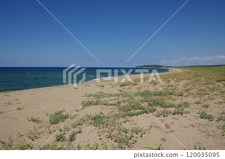 石川縣加賀市從鹽谷海灘到交野海灘的海灘景觀 120035095