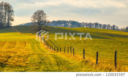 Rolling hills stretch under a soft sky, featuring a solitary tree next to a rustic fence. The warm light highlights the grassy meadow, inviting a sense of tranquility and openness. Rolling hills stretch under a soft sky, featuring a solitary tree next to a rustic fence. The warm light highlights the grassy meadow, inviting a sense of tranquility and openness. 120035397