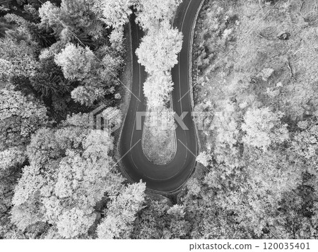 A picturesque winding road meanders through a vibrant autumn forest, showcasing a breathtaking array of fall. The scene captures the essence of the season's beauty. Black and white photography A picturesque winding road meanders through a vibrant autumn forest, showcasing a breathtaking array of fall. The scene captures the essence of the season's beauty. Black and white photography 120035401