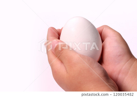 Child's hand holding an egg Child's hand holding an egg 120035482