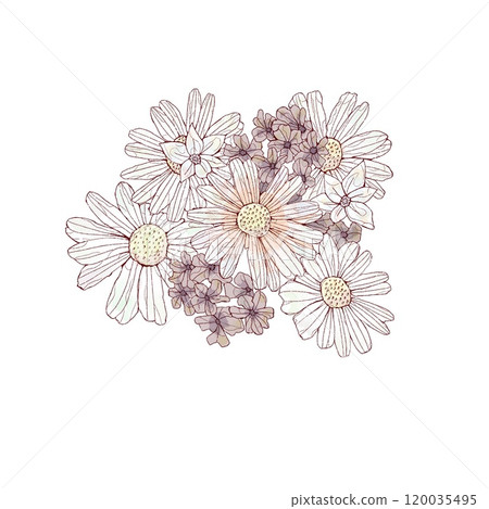 Simple gerbera 120035495