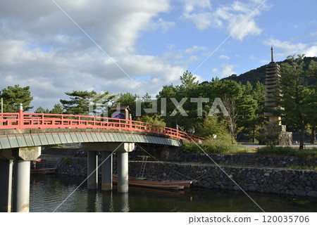 汽泉橋與浮島十三層石塔【重要文化財產】 120035706