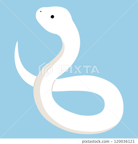 Vector illustration of a white snake. Zodiac, snake, snake, New Year's greetings 120036121