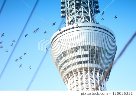 Tokyo Sky Tree 120036331