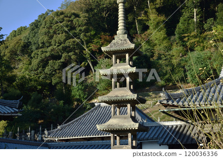 Koshoji Temple Five-story Stone Pagoda (Uji City, Kyoto Prefecture) Koshoji Temple Five-story Stone Pagoda (Uji City, Kyoto Prefecture) 120036336
