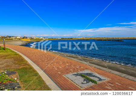 北海道苫小牧市苫小牧漁港附近的家鄉海岸 北海道苫小牧市苫小牧漁港附近的家鄉海岸 120036617
