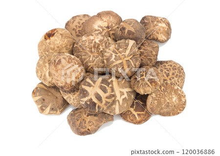 dried mushrooms on white background 120036886