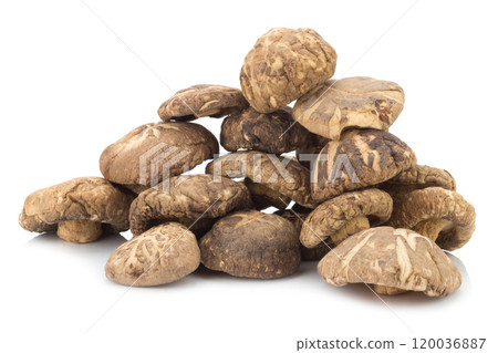 dried mushrooms on white background dried mushrooms on white background 120036887