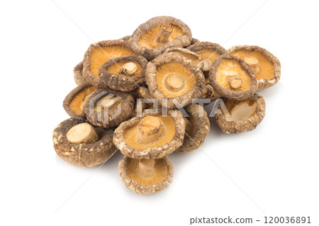 dried mushrooms on white background 120036891