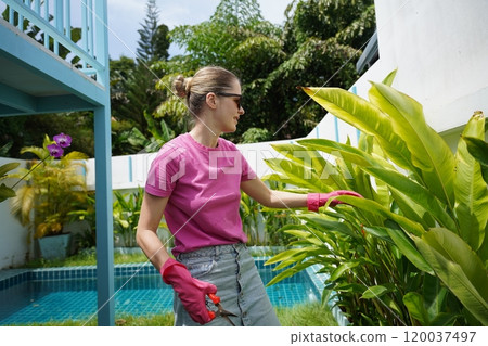 A young woman trims her beautiful garden A young woman trims her beautiful garden 120037497