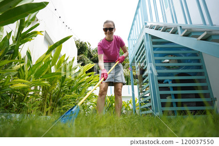 A woman raking the lawn at the backyard of her house A woman raking the lawn at the backyard of her house 120037550