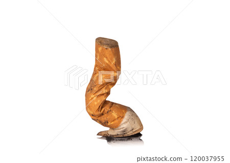 cigarette isolated on white background 120037955