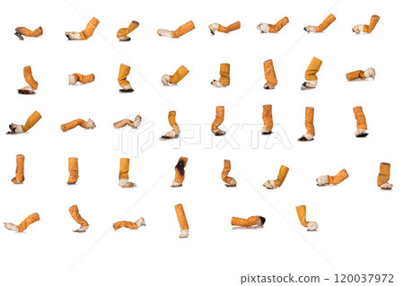 cigarette isolated on white background 120037972