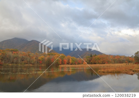 Autumn foliage at Kannon-numa Pond in Kannon-numa Forest Park Autumn foliage at Kannon-numa Pond in Kannon-numa Forest Park 120038219