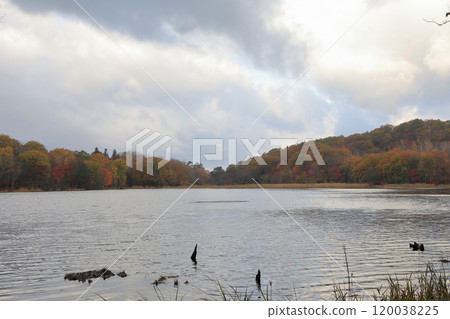Autumn foliage at Kannon-numa Pond in Kannon-numa Forest Park Autumn foliage at Kannon-numa Pond in Kannon-numa Forest Park 120038225