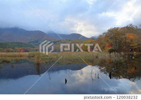Autumn foliage at Kannon-numa Pond in Kannon-numa Forest Park 120038232