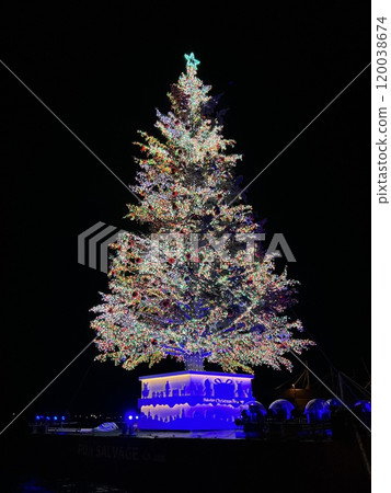 A huge Christmas tree floating in Hakodate Bay A huge Christmas tree floating in Hakodate Bay 120038674