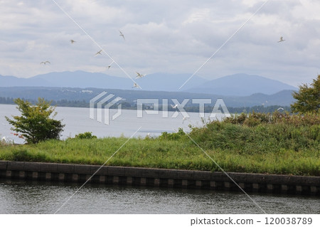 琵琶湖和飛翔的鳥兒 120038789