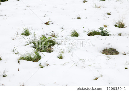 雪、降雪、雨夾雪、雪國、北方國家、雪、冬天、寒冷、降雪、雪景、冬天場景 雪、降雪、雨夾雪、雪國、北方國家、雪、冬天、寒冷、降雪、雪景、冬天場景 120038941