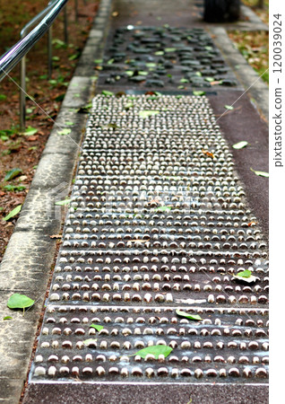 行人徒步區 120039024