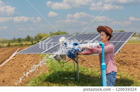 Solar-Powered Irrigation. Female Farmer Maintaining Solar Panels in Vegetable Garden. 120039324