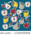 Illustration of a simple apple 120040008