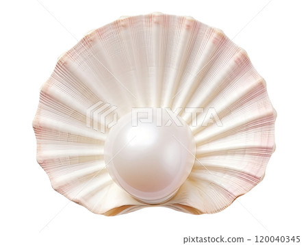 Seashell with Pearl 120040345