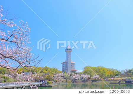 Skyward Asahi and cherry blossoms in Owariasahi, Aichi Prefecture Skyward Asahi and cherry blossoms in Owariasahi, Aichi Prefecture 120040603
