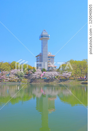 Skyward Asahi and cherry blossoms in Owariasahi, Aichi Prefecture 120040605