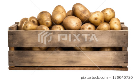 Potatoes 120040720