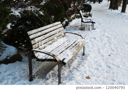 長椅被雪覆蓋 長椅被雪覆蓋 120040793