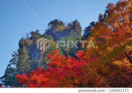 Autumn leaves at Boundai below Takasumi Shrine on Mount Hiko Autumn leaves at Boundai below Takasumi Shrine on Mount Hiko 120041171