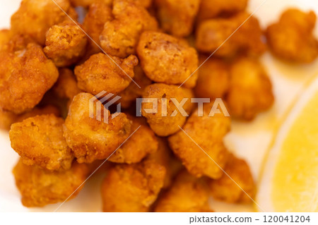 Deep-fried cartilage 120041204