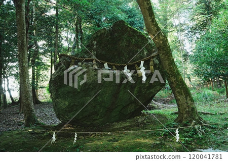 Izumo Daijingu Shrine: A sacred rock in the forest 120041781
