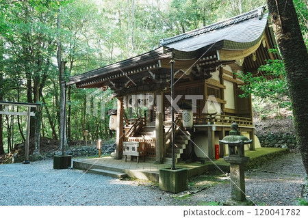 The upper shrine of Izumo Daijingu Shrine, surrounded by greenery The upper shrine of Izumo Daijingu Shrine, surrounded by greenery 120041782