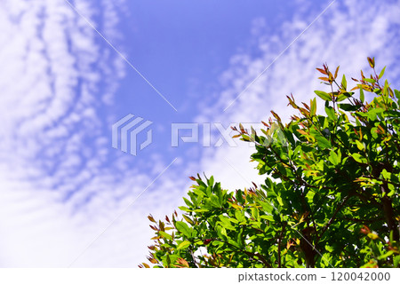 藍天 藍天 120042000