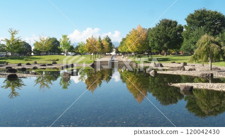 Park trees reflected on the water 120042430