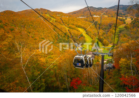 志賀高原亮點 志賀高原亮點 120042566