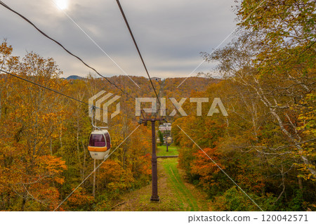 志賀高原亮點 志賀高原亮點 120042571