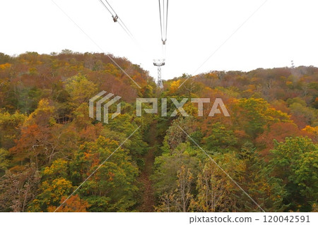 View from Sapporo's Mount Moiwa Ropeway 120042591