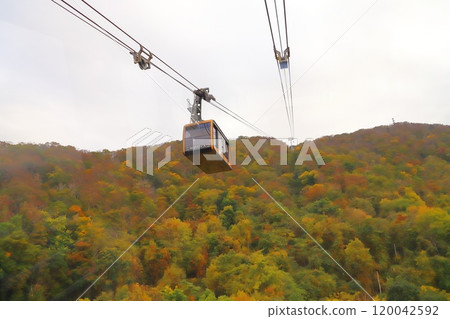 View from Sapporo's Mount Moiwa Ropeway View from Sapporo's Mount Moiwa Ropeway 120042592