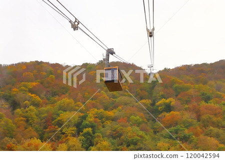 從札幌藻岩山纜車看到的風景 120042594
