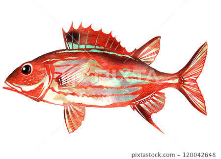A paper cut-out illustration of a cool saltwater fish, the Ukeguchi Ittoudai 120042648