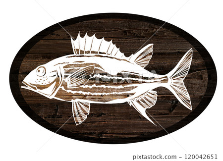 Wood painting cut-out illustration of saltwater fish Ukeguchi Ittoudai 120042651
