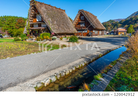 Autumn in Shirakawa-go, where rainbow trout and other fish swim, countryside 120042912